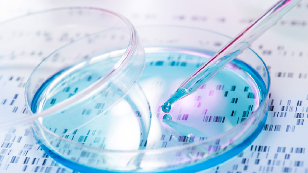 FDA Accelerates Cell and Gene Therapy Reviews, Emphasizing Regulatory Flexib