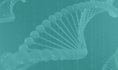 Peptide Drug Summit, USA 2026